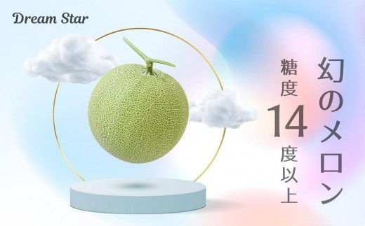 【2026年5月以降発送】さぬきメロン Dream Star 1.1kg以上｜メロン 糖度 14度以上 甘い フルーツ 果物 くだもの 特産 ふるさと 坂出市 香川 さぬき 食品 人気 おすすめ 送料無料