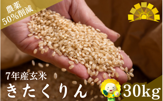 玄米 きたくりん 新米 30kg / ごはん こめ 米 お米 北海道 北海道米 【kja400-kita-g30-R7】