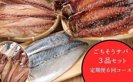 【定期便 偶数月6回】 干物 サバ 鯖 さば ごちそうサバ3品セット 片身干物4枚 みりん干し4枚 しめさば2枚 計10枚 冷凍 詰め合わせ 惣菜 ご飯のお供 晩酌 酒の肴 BBQ ギフト 高知県室戸市