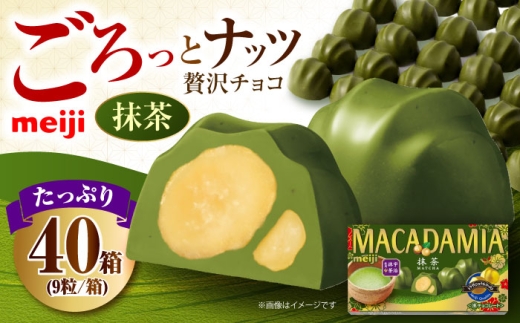 明治 マカダミアチョコレート抹茶 9粒×40箱  チョコレート 明治 チョコ ナッツ マカダミアチョコ お菓子 おやつ ストック スイーツ デザート 抹茶 まっちゃ 大容量 大阪府高槻市/株式会社 丸正高木商店 [AOAA067]