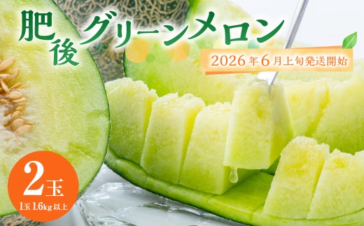 熊本県産 肥後グリーンメロン 2玉 果物 フルーツ メロン【2026年6月上旬～6月下旬迄順次発送予定】