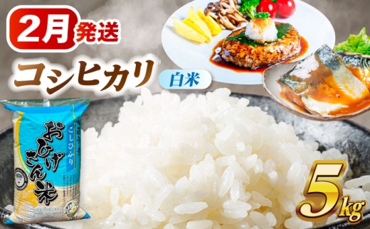 米 【2月発送】 コシヒカリ 白米 5kg 米 お米 5kg 5キロ 白米 精米 新米 コメ ご飯 ごはん 愛知県産 国産 県産米 国産米 コシヒカリ こしひかり 発送 時期 選べる 産地直送 15000円 1万5千円 令和7年 愛西市 / 脇野コンバイン [AECP021-6]