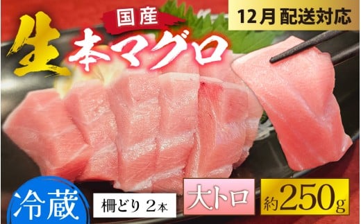 【冷蔵・指定日着可】生本マグロ大トロ 約250g 2～3人前 [A-066007] / 国産 まぐろ 鮪 さく 柵どり 冷蔵 真空パック ヘルシー 2人前 3人前 新鮮 刺身 丼