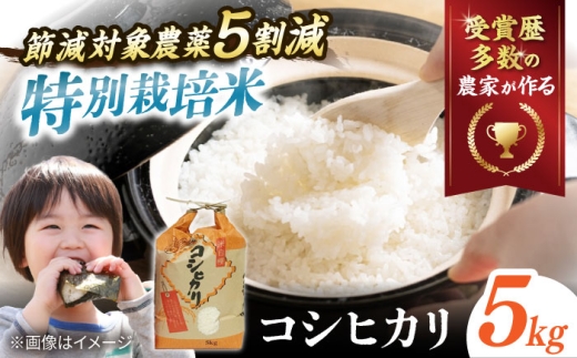 [先行予約/令和7年産新米][特別栽培米]コシヒカリ 5kg 滋賀県長浜市/株式会社TPF [AQCQ012]
