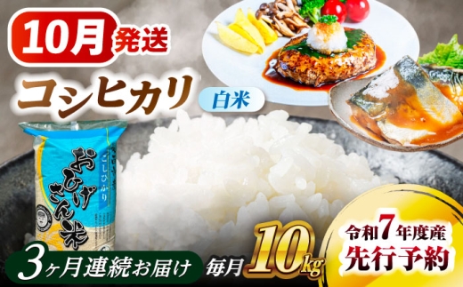 【3回定期便】  【10月発送開始】   コシヒカリ 白米 10kg×3回 愛西市 / 脇野コンバイン  米 お米 コメ [AECP027-10]