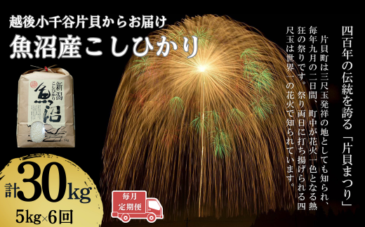 【令和7年産 新米予約 定期便】魚沼産コシヒカリ 5kg×毎月全6回 白米 精米 新潟県産 米萬 | 新潟県産 コシヒカリ お米 米 おこめ こめ コメ こしひかり 魚沼産 ブランド米【0002-KM05DB00-02】