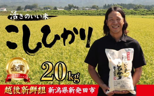【2026年1月以降発送】令和7年産 コシヒカリ 20kg こしひかり 精米 白米 ご飯 おにぎり 弁当 新潟県産 新発田産 新潟 米 お米 こめ 受賞 越後新鮮組 新潟県 米 新潟県 新発田市 shinsengumi003_202601