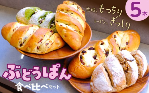 ぶどうぱん食べ比べセット（5本） _ ぶどうぱん 専門店 ぶどぱん 食べ比べ 5本 ぶどぱんのぶどうぱん サンマスカット 全粒粉のくるみとレーズン ミックスレーズン 抹茶 レーズン しっとり もっちり 食パン生地 トースト 冷凍保存 お取り寄せ 福岡県 久留米市 送料無料 _Cx242-05