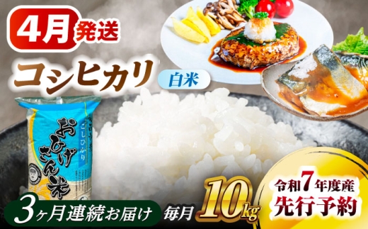【3回定期便】 【4月発送開始】  コシヒカリ 白米 10kg×3回 愛西市 / 脇野コンバイン  米 お米 コメ [AECP027-4]