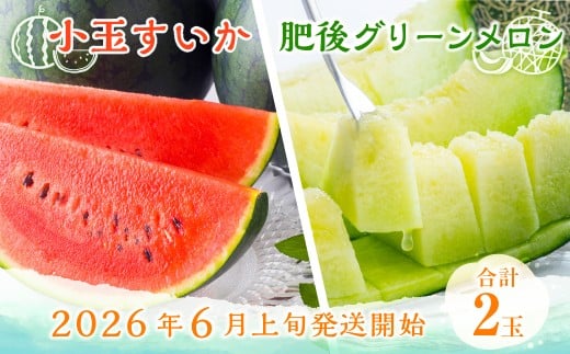 熊本県産 小玉すいか ＆ 肥後グリーンメロン 各1玉 果物 フルーツ セット ギフト 贈答品 贈り物 【2026年6月上旬～6月下旬迄順次発送予定】 801188 - 熊本県熊本市