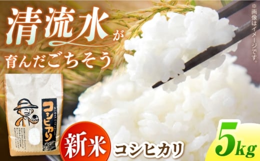 [令和7年度産 新米] コシヒカリ 5kg 米 白米 国産 新米 岐阜 白川町 / 健康農園 [AWBW001]