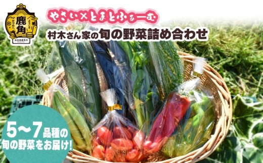 村木さん家の旬の野菜詰め合わせ 5～7種【やさい×とまとふぁーむ】●2025年7月下旬発送開始 野菜 新鮮 採れたて セット 食べ比べ 詰め合わせ サラダ 産地直送 農家直送 新鮮 旬 県産 国産 お中元 お歳暮 グルメ ギフト 故郷 秋田 あきた 鹿角市 鹿角 送料無料  966190 - 秋田県鹿角市