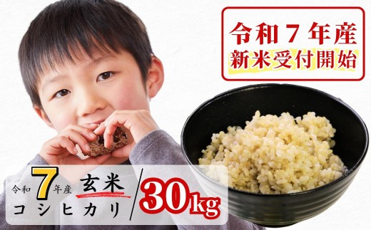 《令和7年産新米受付開始》玄米 30kg 令和7年産 コシヒカリ 岡山 あわくら源流米 K-ad-AEFA