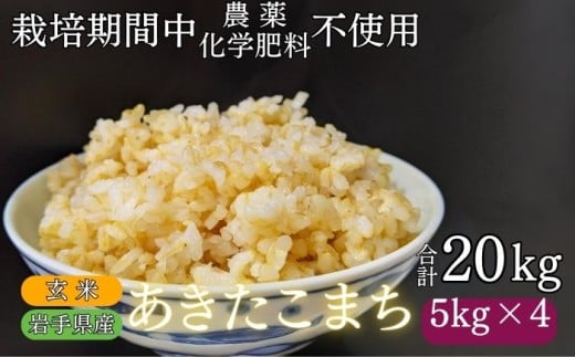 【 2025年 11月上旬より発送】 岩手県産 新米 あきたこまち 玄米 20kg ／ 農薬 化学肥料 ：栽培期間中 不使用 武田家のお米【米農家 仁左ェ門】 米 こめ コメ ご飯 ライス おにぎり 弁当 単一原料米 20キロ ２０kg 産地直送 農家直送 国産 おすすめ 人気