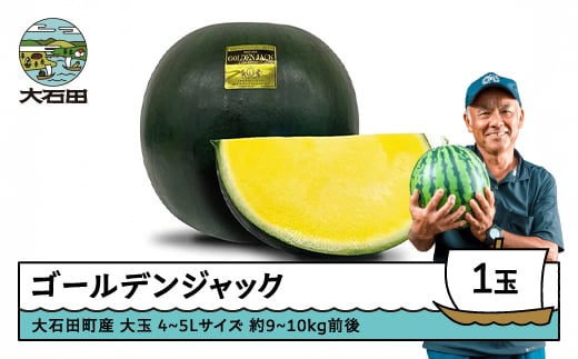 すいか 大玉 ゴールデンジャック 4〜5Lサイズ×1玉 2026年産 令和8年産 山形県産 8月上旬から順次発送 gt-sugjx4 2200254 - 山形県大石田町