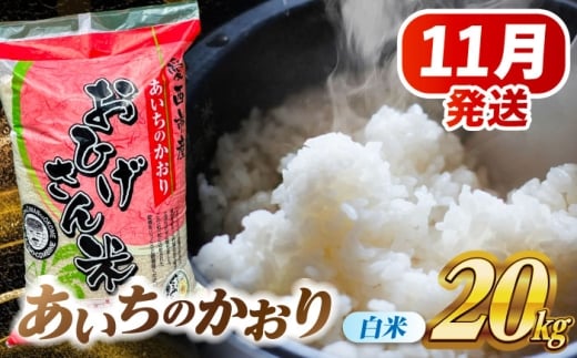 【11月発送】あいちのかおり 白米 20kg 愛西市 / 脇野コンバイン  米 お米 コメ  [AECP003-2] 1454450 - 愛知県愛西市
