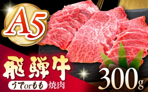 《冷蔵》 【A5等級】 飛騨牛 うでorもも 焼肉 300g 多治見市 / 肉の沖村 A5 牛肉 ギフト 贈り物 [THI016]