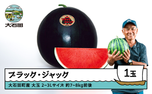 すいか 大玉 ブラックジャック 2〜3Lサイズ×1玉 2026年産 令和8年産 山形県産 大石田町産 8月上旬から順次発送 gt-subjx2 2105716 - 山形県大石田町