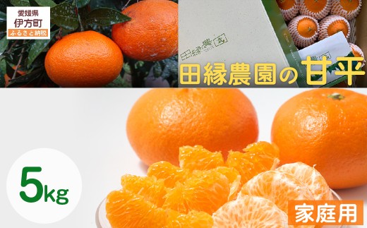 【先行予約】【家庭用】甘平 5kg ※離島への配送不可 （2026年1月25日より順次発送） 【 ふるさと納税 人気 おすすめ ランキング みかん ミカン 蜜柑 甘平 かんぺい フルーツ 果物 愛媛県産 田縁農園 愛媛県 伊方町 送料無料 】 IKTA031