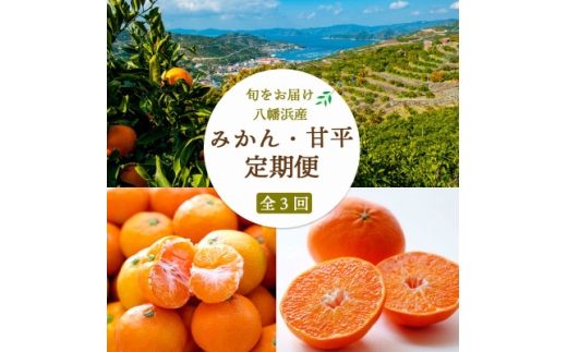 ＜発送月固定定期便＞＜訳あり＞愛媛みかん7kg×大玉8kg×甘平3kg ＜H25-278＞全3回【4071367】