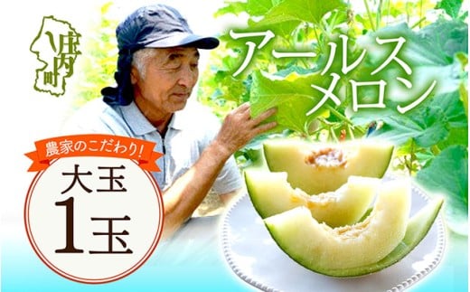 【8月より順次発送】アールスメロン 大玉1玉（入金期限：2026.7.20）