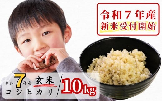 《令和7年産新米受付開始》玄米 10kg 令和7年産 コシヒカリ 岡山 あわくら源流米 K-ac-AEFA