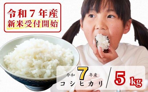 《令和7年産新米受付開始》白米 5kg 令和7年産 コシヒカリ 岡山 あわくら源流米 K-af-AEFA