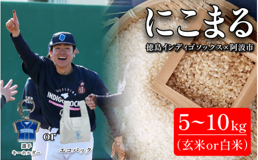  徳島 インディゴソックス グッズ エコバッグ キーホルダー セット お米 にこまる 5kg 10kg 玄米 白米  野球 四国アイランドリーグ 徳島県 阿波市