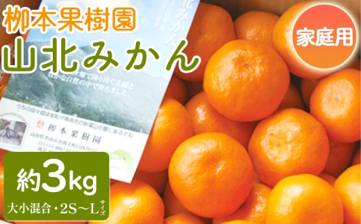 家庭用 柳本果樹園の山北みかん 3kg 大小混合(2S～L) - 果物 フルーツ 柑橘類 温州みかん ミカン 蜜柑 甘い おいしい 訳あり キズ 大小混合 期間限定 季節限定 数量限定 高知県 香南市 yg-0030