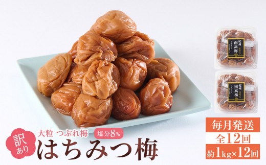 訳あり 梅干し 大粒 大玉 つぶれ梅 はちみつ梅 約1kg(500g×2) × 12回  塩分8％ [ 定期便 毎月発送・全12回 ] 1966572 - 和歌山県和歌山市