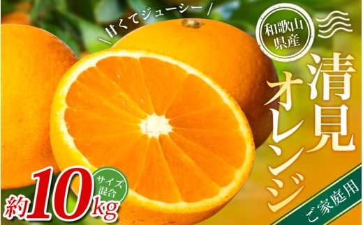 【ご家庭用】手選別 清見オレンジ 約10kg 和歌山県産 2S~2Lサイズ混合※2026年2月上旬～5月中旬頃に順次発送【mrmt039A】