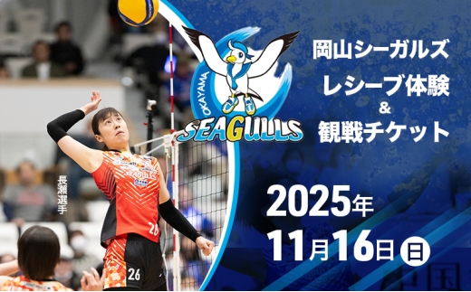 【2025年11月16日(日)】岡山シーガルズ所属選手のアタックのレシーブ体験＆観戦チケット 先着 限定10件 バレー バレーボール 観戦 チケット 体験 岡山