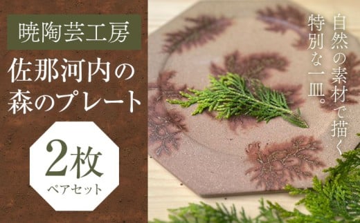 佐那河内の森のプレート 2枚 皿 食器 プレート 手作り 暁陶芸工房《30日以内に出荷予定(土日祝除く)》 自然 キッチン用品 日用品 オリジナル 雑貨 徳島県 佐那河内村