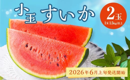 熊本県産 小玉すいか 2玉 スイカ 果物 フルーツ くだもの 西瓜【2026年6月上旬～6月下旬迄順次発送予定】 1699177 - 熊本県熊本市