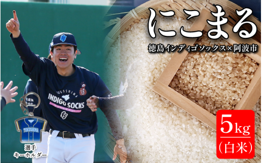  徳島 インディゴソックス グッズ キーホルダー セット お米 にこまる 5kg 白米 野球 四国アイランドリーグ 徳島県 阿波市