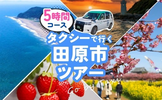 中型タクシーで田原市観光プラン 5時間 コース 観光 旅行 タクシー いちご狩り 岬 灯台 菜の花 菜の花祭り 田原市 渥美半島 愛知県 2278003 - 愛知県田原市