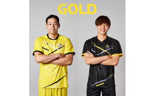 ＜アルバモス大阪ファンクラブ＞GOLDコース【1645004】