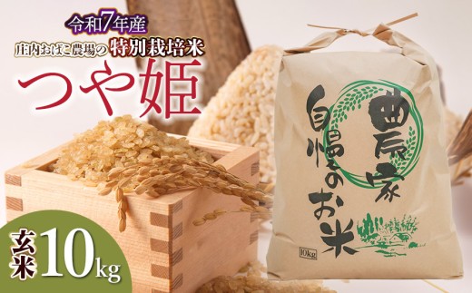 【令和7年産先行予約】庄内おばこ農場の特別栽培米 つや姫 玄米 10kg (10kg×1袋)　K-7111 2272279 - 山形県鶴岡市
