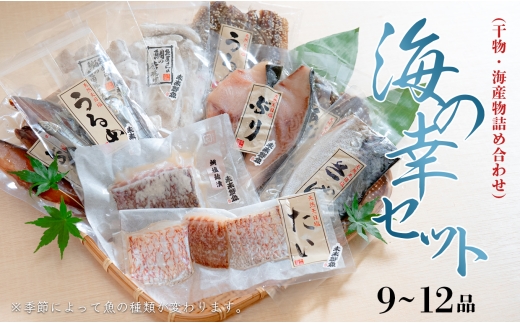 海の幸セット(干物・海産物詰め合わせ)　9～12品 2272829 - 高知県大月町