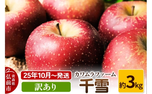 【25年10月～発送】りんご  千雪 約3kg カワムラファーム 訳あり【先行受付】 青森 果物 フルーツ 林檎 リンゴ くだもの 予約【レビューキャンペーン】