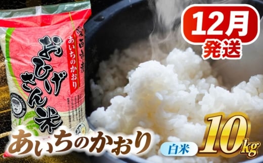 【12月発送】あいちのかおり 白米 10kg 愛西市 / 脇野コンバイン  米 お米 コメ [AECP002-3] 1454439 - 愛知県愛西市