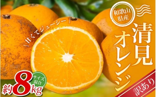 【訳あり】手選別 清見オレンジ 約8kg 和歌山県産 2S~2Lサイズ混合※2026年2月上旬～5月中旬頃に順次発送【mrmt049】