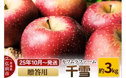 【25年10月～発送】りんご  千雪 約3kg カワムラファーム 贈答用【先行受付】 青森 果物 フルーツ 林檎 リンゴ くだもの 予約【レビューキャンペーン】
