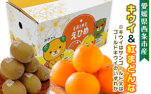 [先行予約]愛媛県西条市産 サンゴールドキウイまたはゴールドキウイと紅まどんなのセット ※2025年11月下旬〜12月下旬頃発送 紅まどんな 柑橘 サンゴールド キウイ 食べ比べ 詰め合わせ セット
