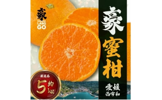 豪 蜜柑　5kg(S～Lサイズ)＜C88-1＞【1660442】
