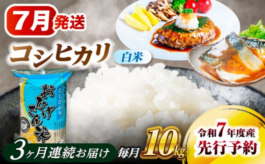 【3回定期便】 【7月発送開始】   コシヒカリ 白米 10kg×3回 愛西市 / 脇野コンバイン  米 お米 コメ [AECP027-7]