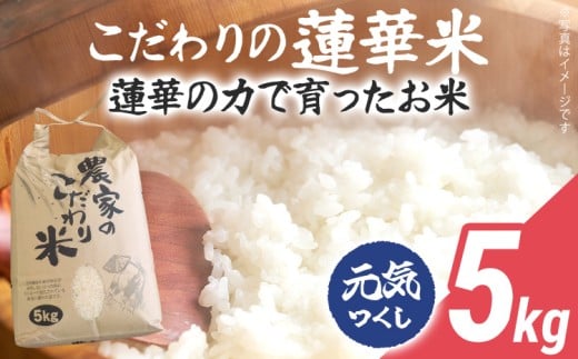 米 5kg 元気つくし 数量限定 こだわりの蓮華米 精米 農家直送 蓮華米 白米 国産米 国産 おにぎり お弁当 福岡県 福岡 九州 グルメ お取り寄せ【9月下旬頃出荷予定】