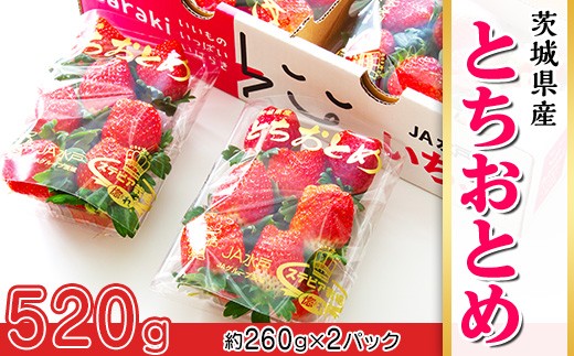 661 茨城県産いちご「とちおとめ」520g（2パック）【2026年1月中旬頃～3月下旬頃発送予定】 2271586 - 茨城県茨城町