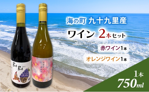 ワイン2本セット（赤ワイン1本、オレンジワイン1本）ワイン 酒 赤ワイン 辛口 オレンジワイン 甘口 750ml 飲み比べ セット 九十九里ワイナリー[№5743-0683]