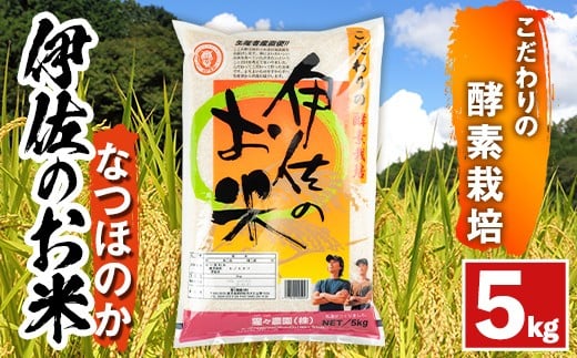 isa753 《数量限定》令和7年産 新米 伊佐のお米 なつほのか (5kg) 国産 米 白米 お米 ご飯 精米 薩摩の米蔵 伊佐米 なつほのか 酵素栽培 【猩々農園】